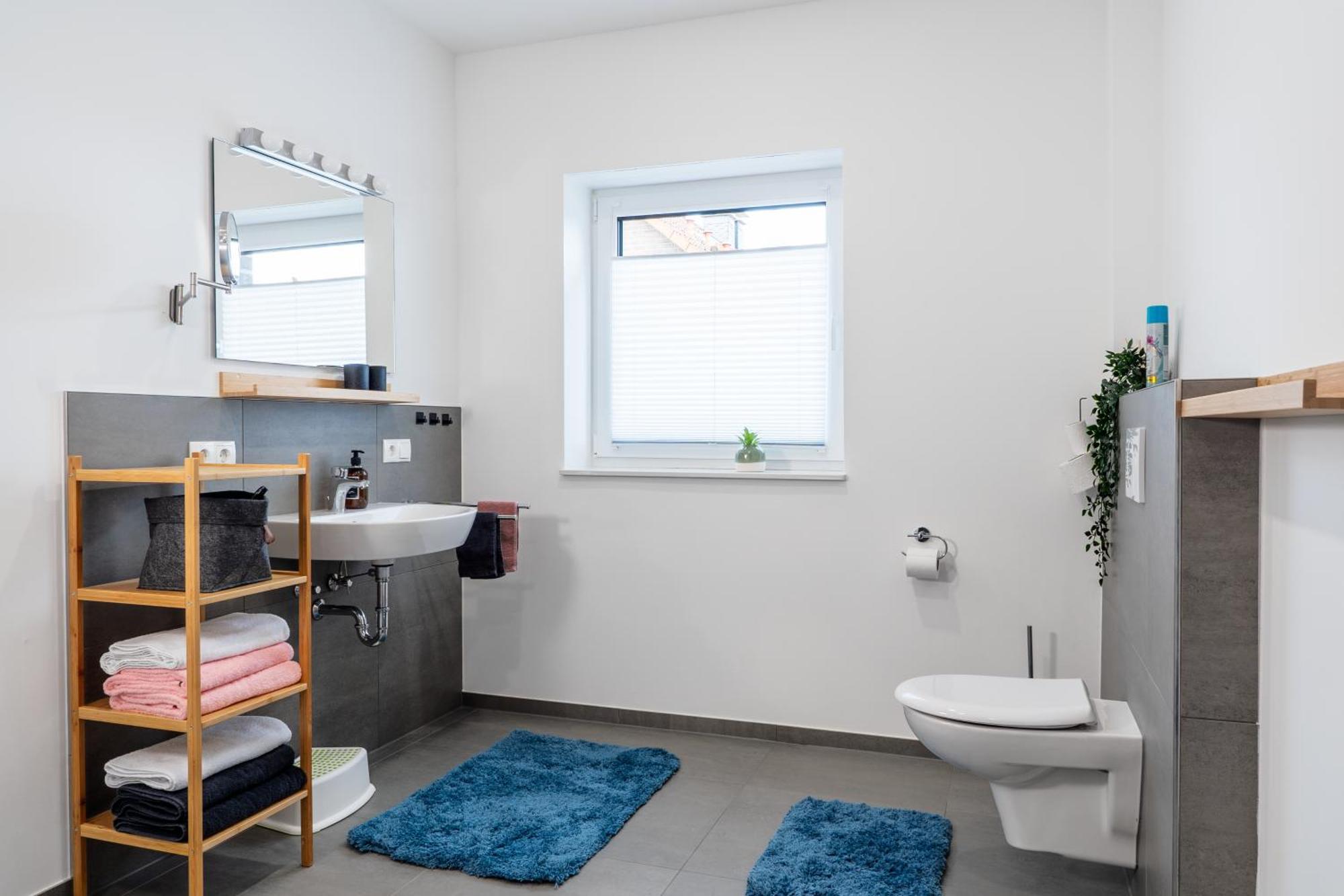 Schoenes Penthouse Duemmer See - Lembruch Hüde Екстериор снимка